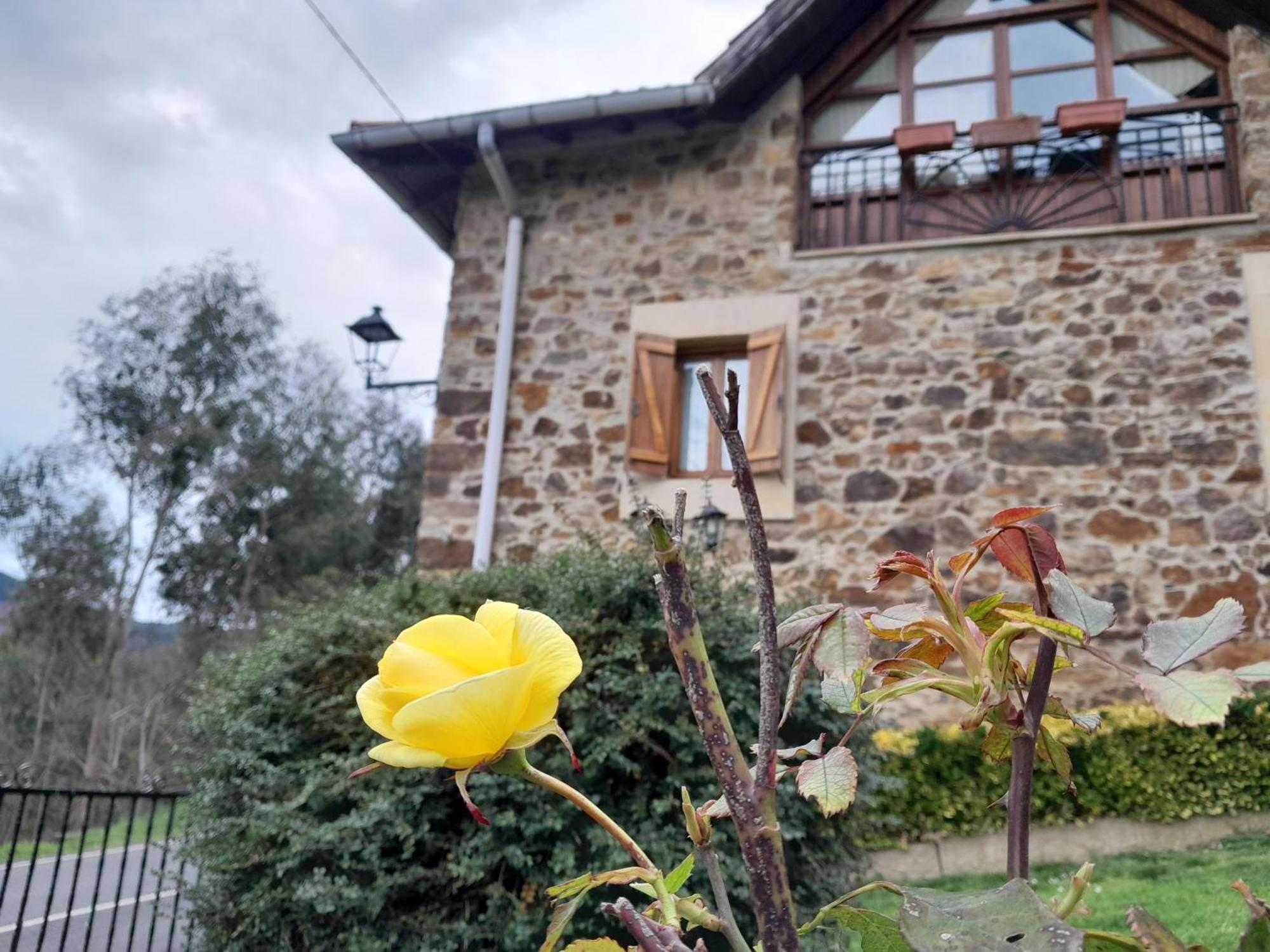 Urrezko Ametsa Guest House Sopuerta Eksteriør bilde